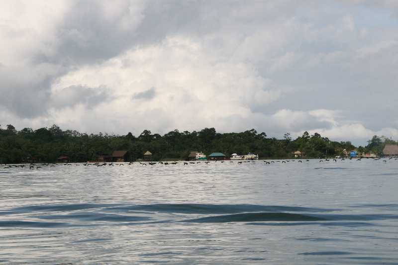 Mexico & Guatemala 2010 - 0936